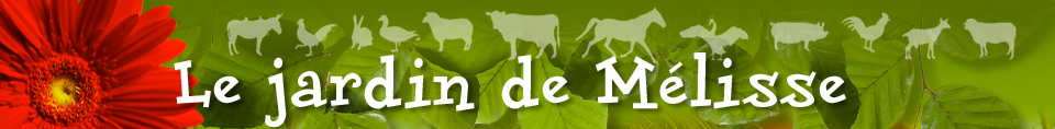 Le jardin de Mélisse