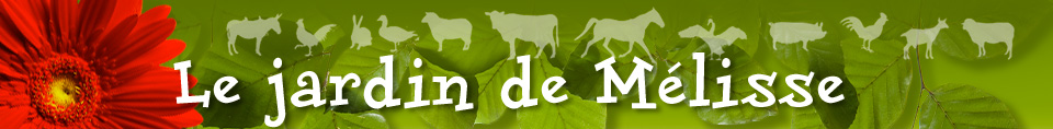 Le jardin de Mélisse