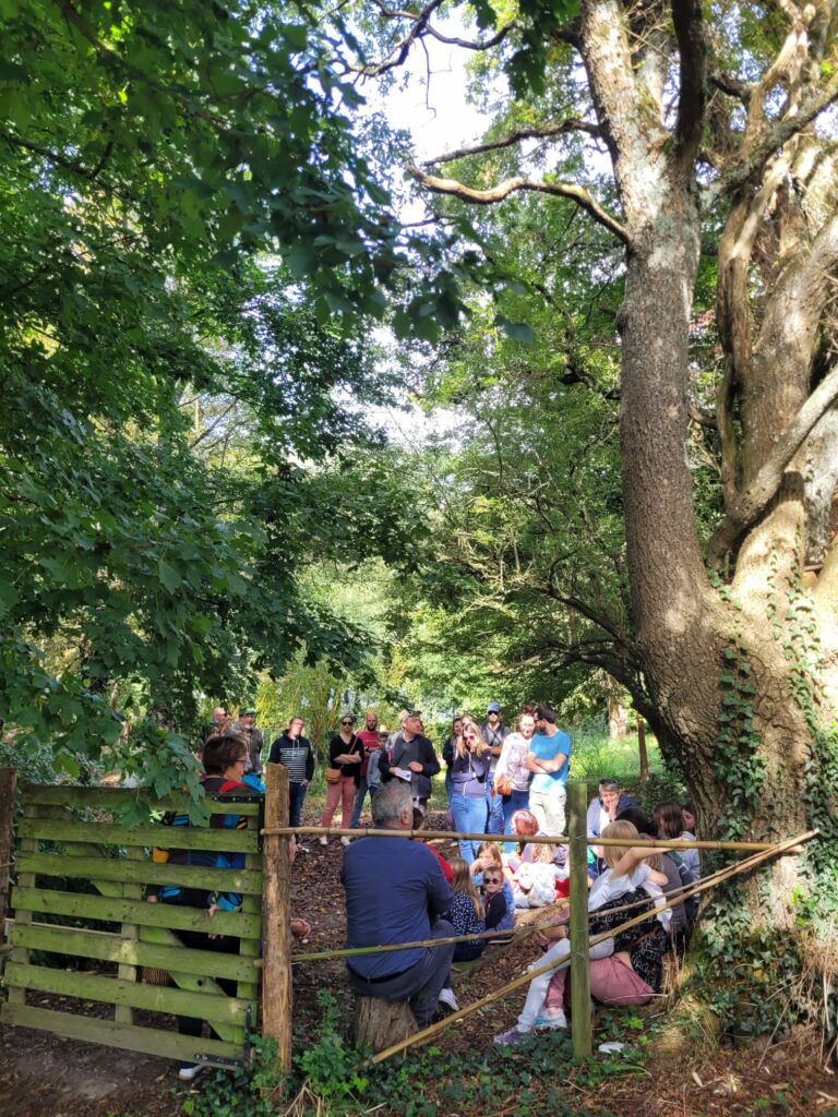 animation foret visiteurs ++