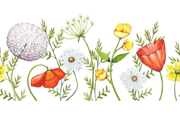 aquarelle