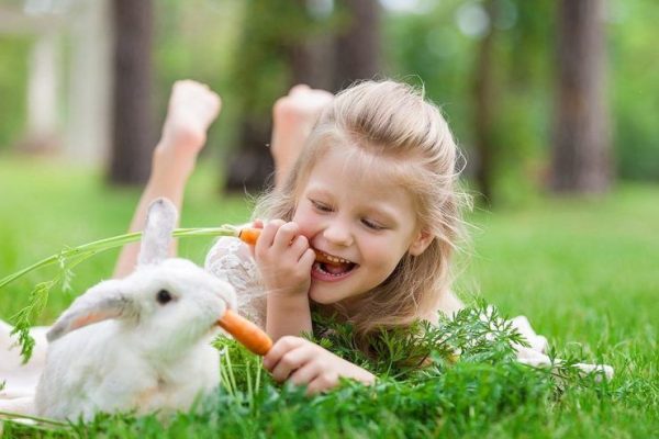 enfant et lapin